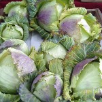 Cabbage "corned vegetables"