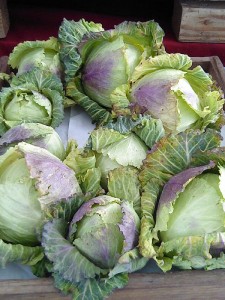 Summer Produce Cabbage